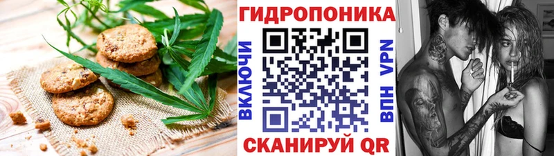 Canna-Cookies марихуана  Купить закладки  Сланцы 