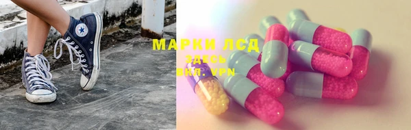 мяу мяу мука Чекалин
