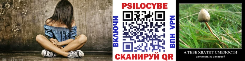 Купить  Сланцы  Псилоцибиновые грибы ЛСД 
